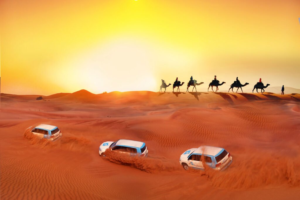 Morning Desert Safari​
