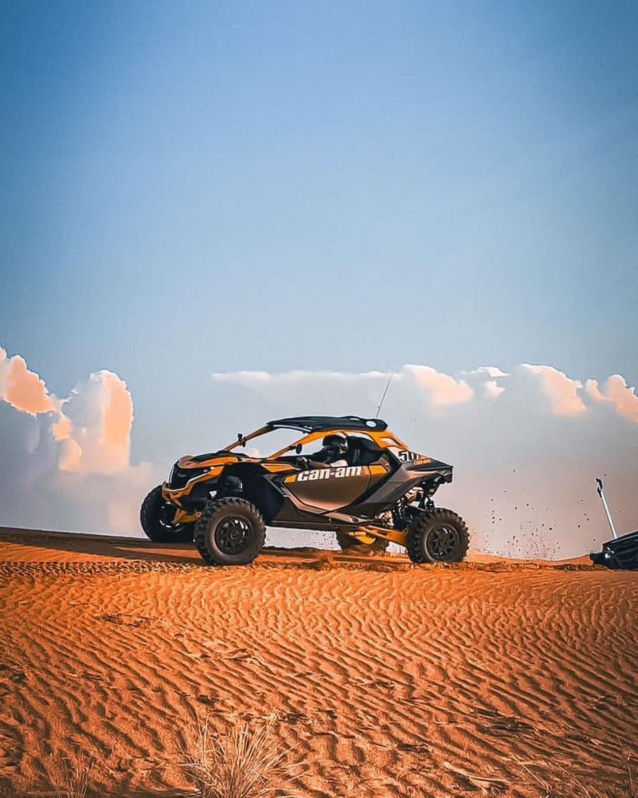 Single Seater Can Am Maverick r